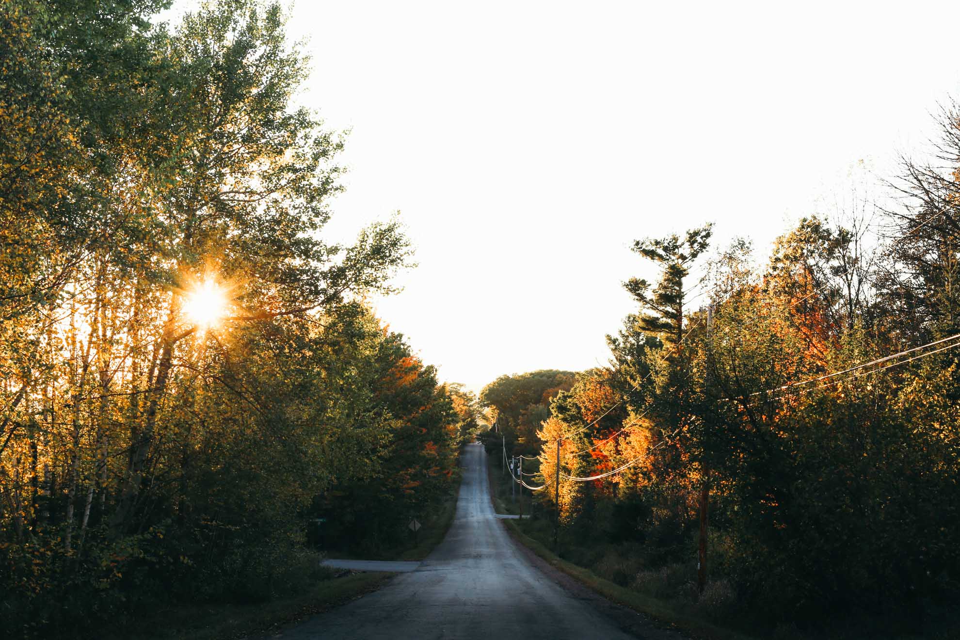 fall colors in wisconsin alongside road with sunset