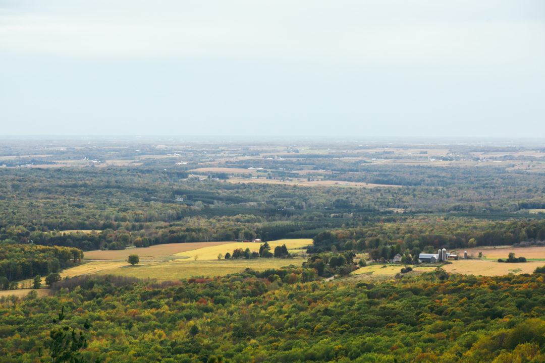 bmo rib mountain