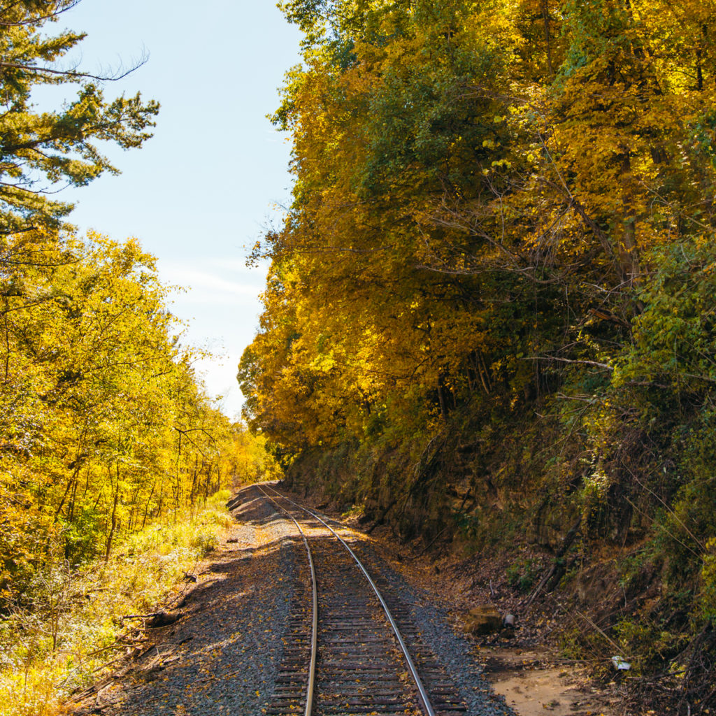 The Osceola Fall Color Train Ride