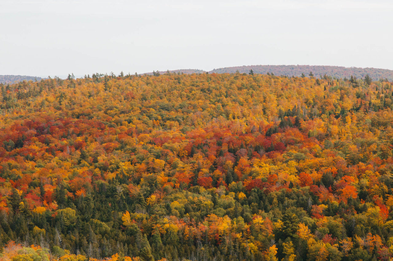 Brockway Mountain